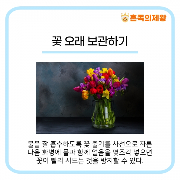 (사진=게티이미지뱅크)