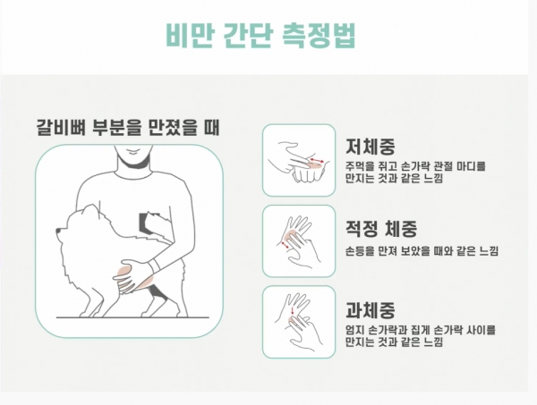 (사진=반려동물 토크 콘서트)