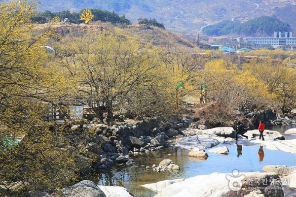 구례 산수유마을 (사진=한국관광공사)