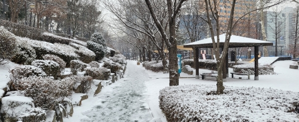 눈 오던 날 집앞 공원 풍경(사진=J씨 제공)