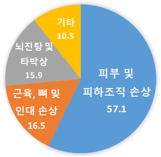 위해증상 현황(자료=한국소비자원)