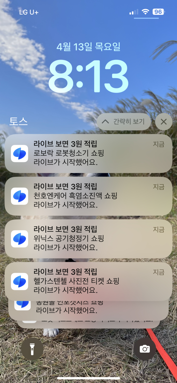 라이브쇼핑 알람이 한번에 여러 개 올 때 귀찮으면서도 행복한(?) 기분이 들었다