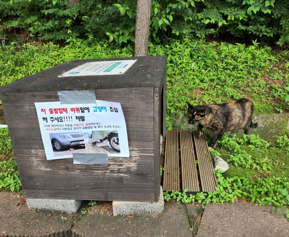 고양이 급식소(사진=경기도)