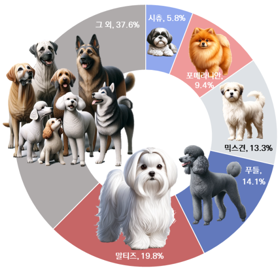 서울시 반려견 품종 현황 (자료=서울디지털재단)