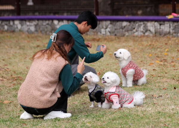 김포공항 펫파크 ⓒnewsis